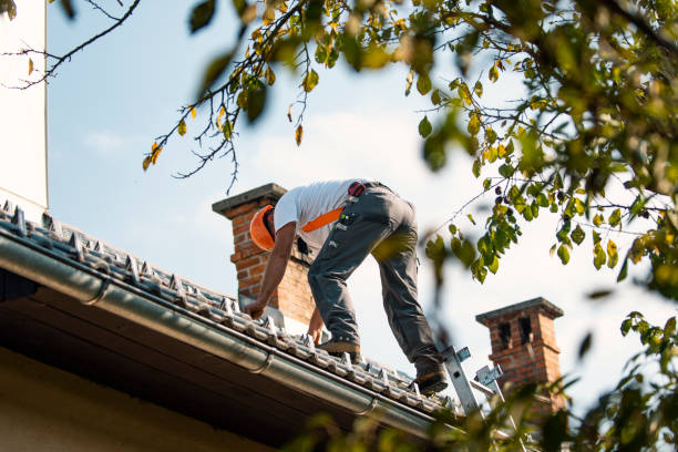 Roof Moss and Algae Removal in St Stephen, SC